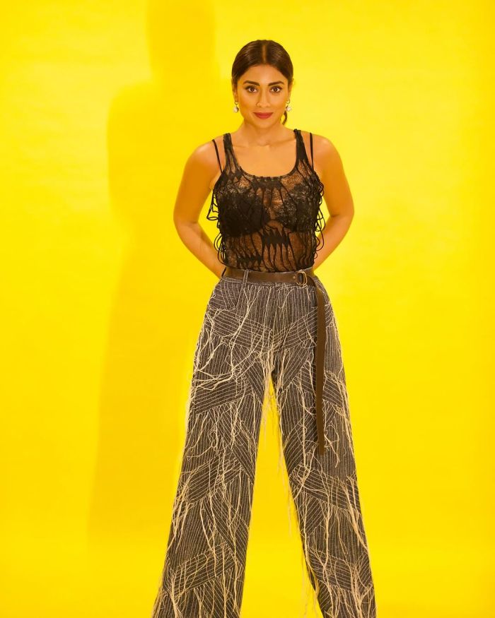 actress shriya saran 3